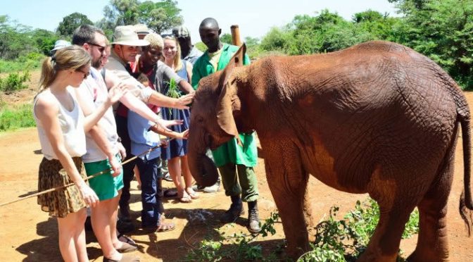 Video: Elephant Orphanage and Giraffe Center – Kenya